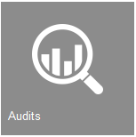 Audits_icon